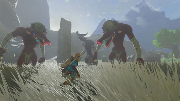 The Legend of Zelda: Tears of the Kingdom Collector's Edition for Nintendo  Switch - Nintendo Official Site